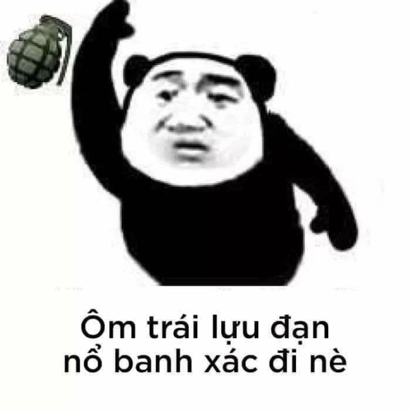 meme gấu trúc troll
