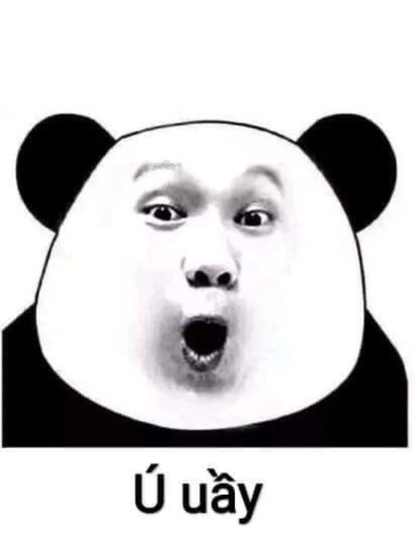 meme gấu trúc weibo hài