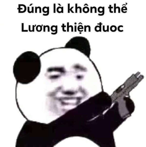 meme gấu trúc