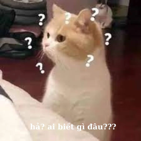 meme hả gì ai biết đâu
