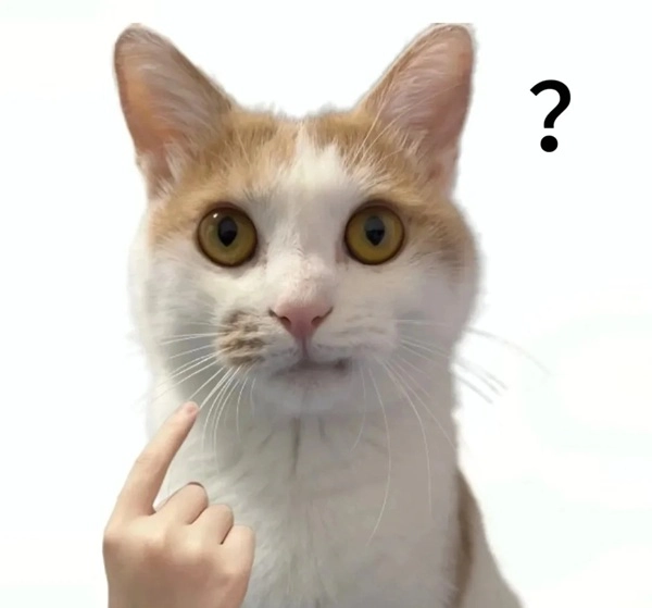 meme hài hỏi chấm