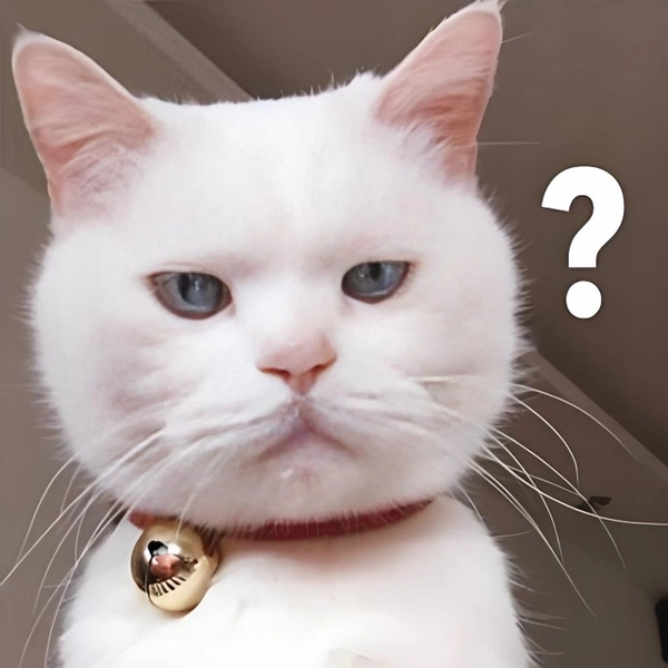 meme hài hước hỏi chấm