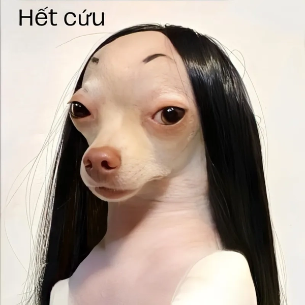 meme hết đường