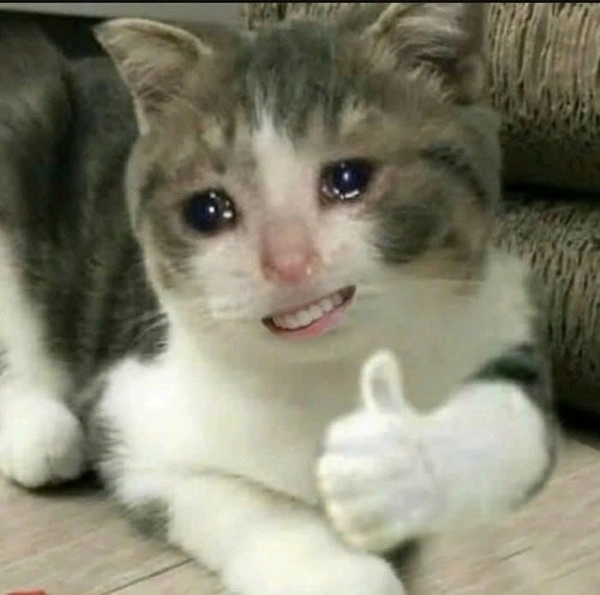 meme hoạt hình giơ tay