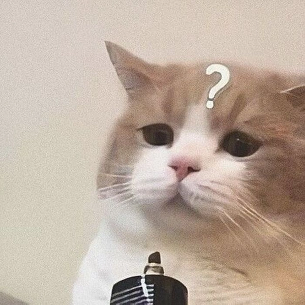 meme khó hiểu chó