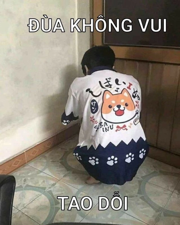 meme khó hiểu cực hài