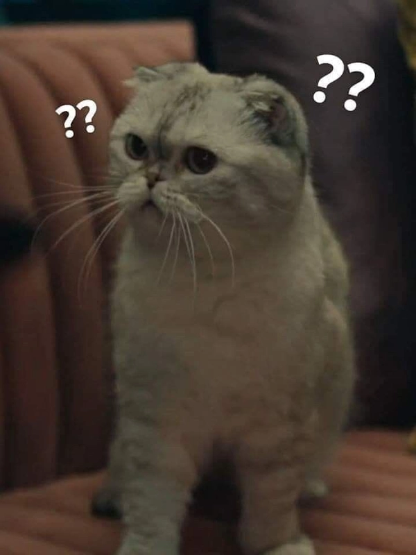 meme khó hiểu cute