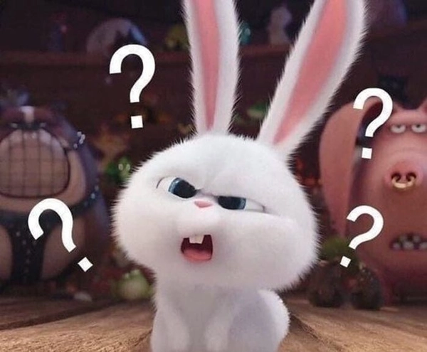 meme khó hiểu mèo
