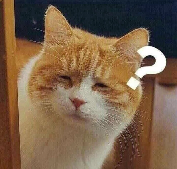 meme khó hiểu vui