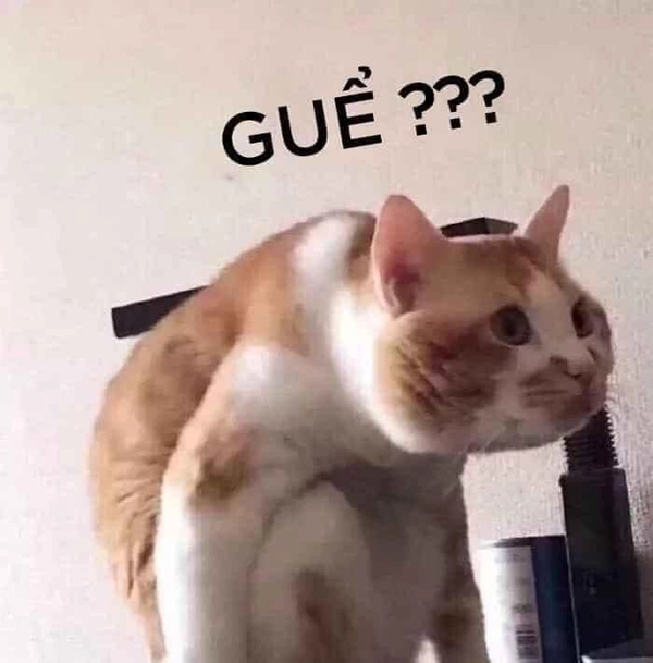meme khó hiểu weibo