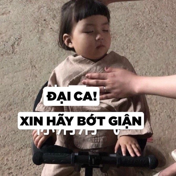 meme khoanh tay xin lỗi