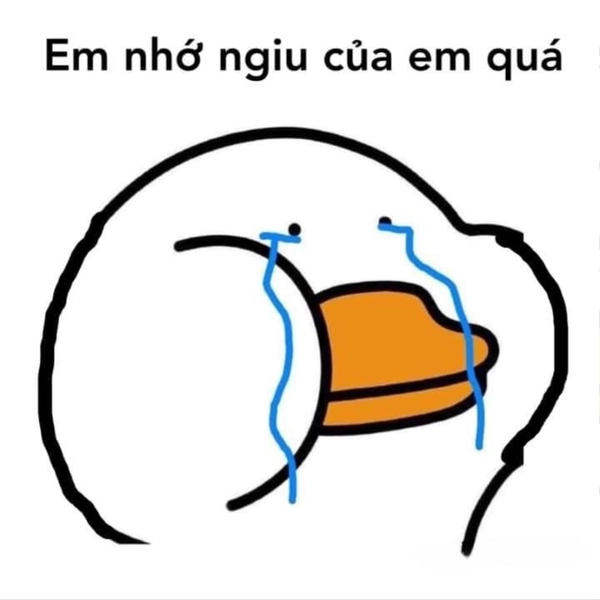 meme khóc dở mếu dở