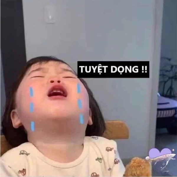 meme khóc một dòng sông