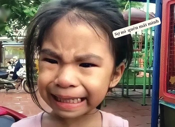 meme khóc ngất