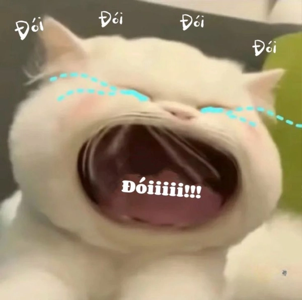 meme khóc ròng
