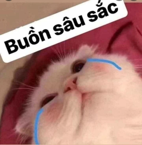 meme khóc trong tuyệt vọng