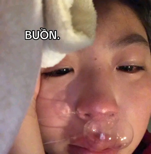 meme khóc vì bị lừa