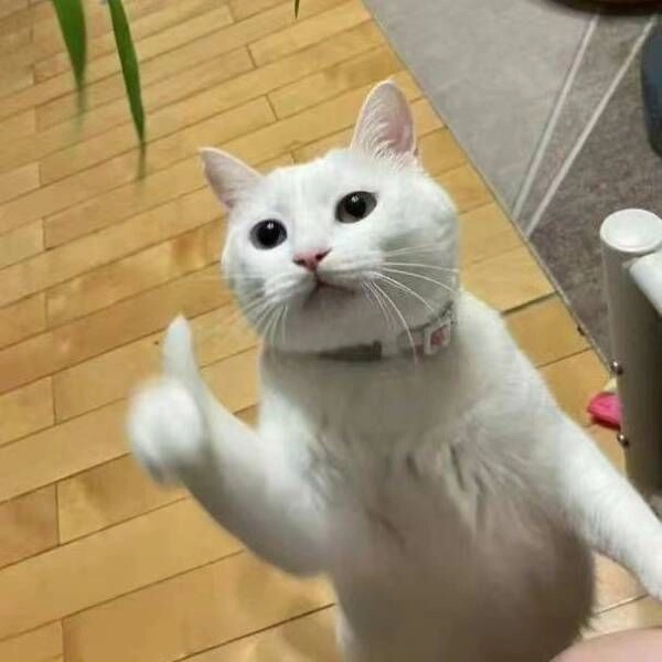 meme like chế ảnh
