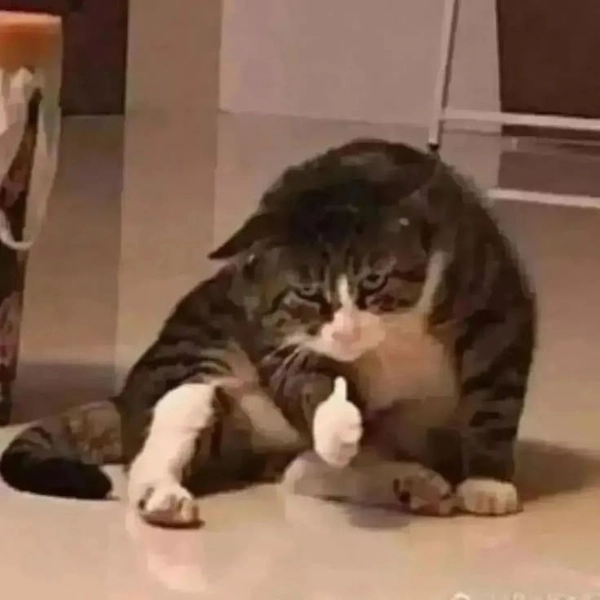 meme like