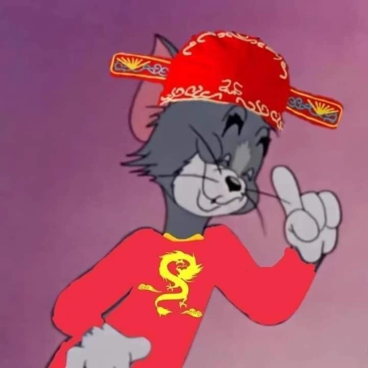meme mèo chúc mừng năm mới