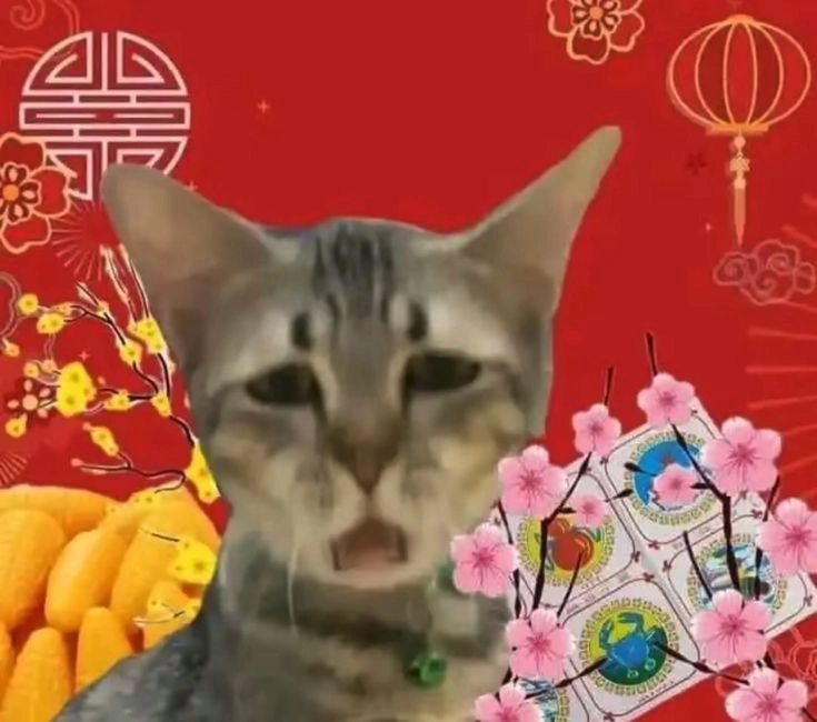 meme mèo cute chúc xuân