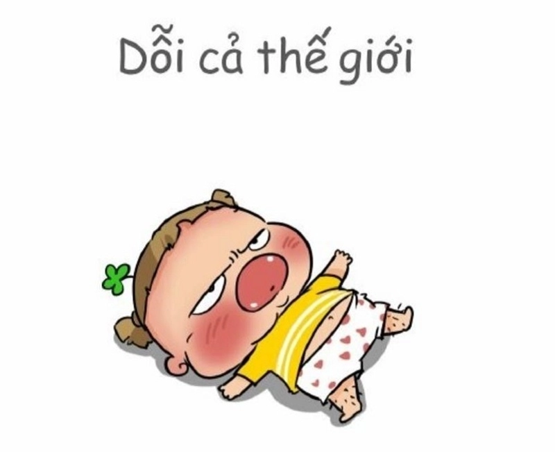 meme mèo dỗi hài hước
