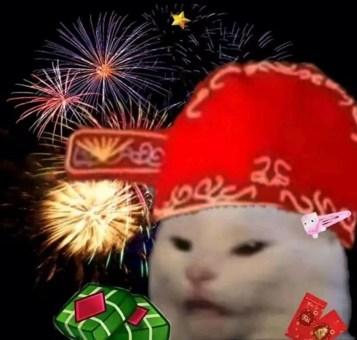 meme mèo hoạt hình tết