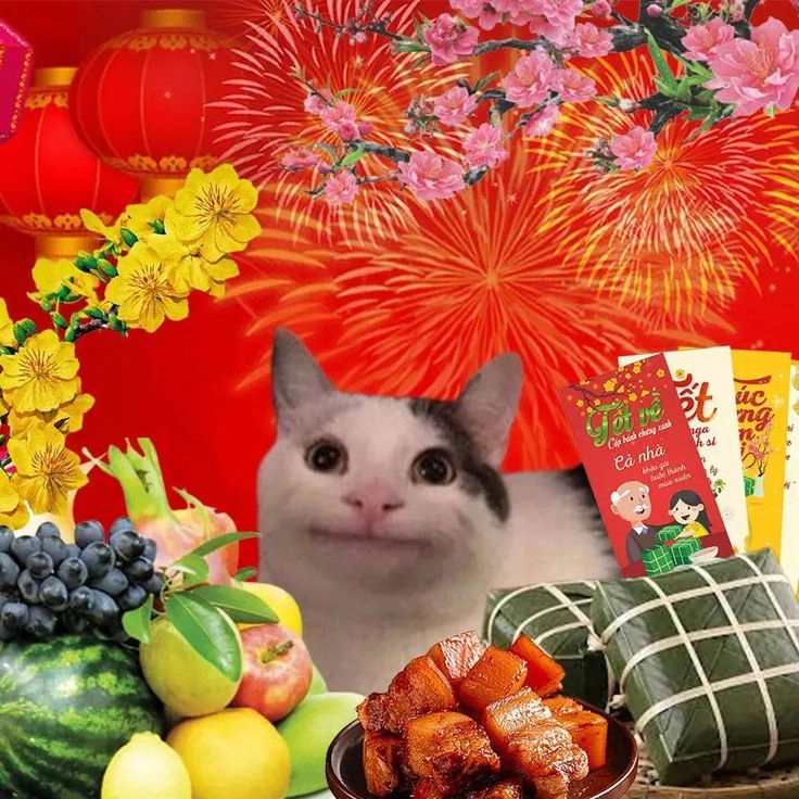 meme mèo mặc áo dài tết