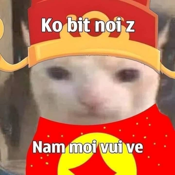 meme mèo tết