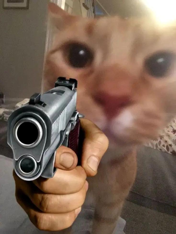meme nghiêm túc cầm súng