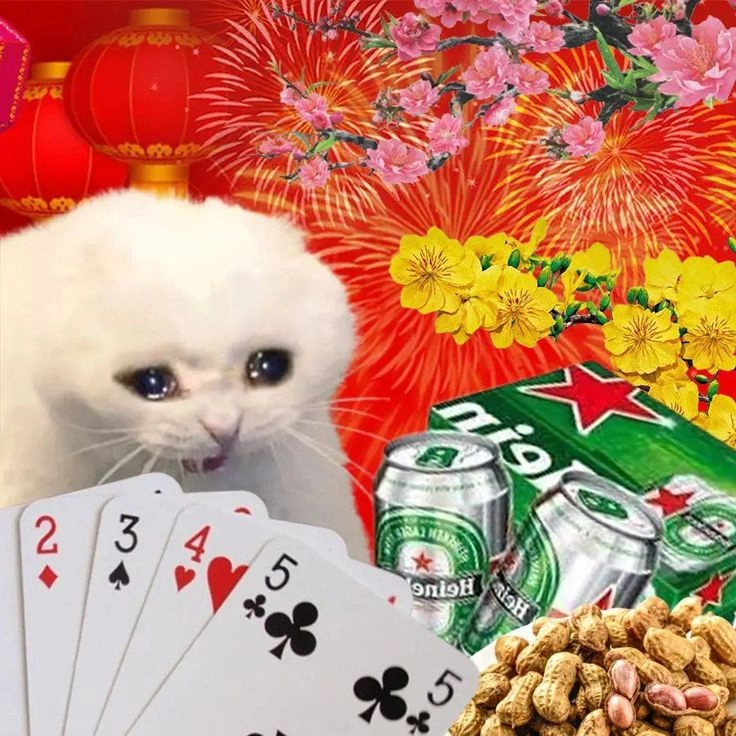 meme nhân vật mèo tết