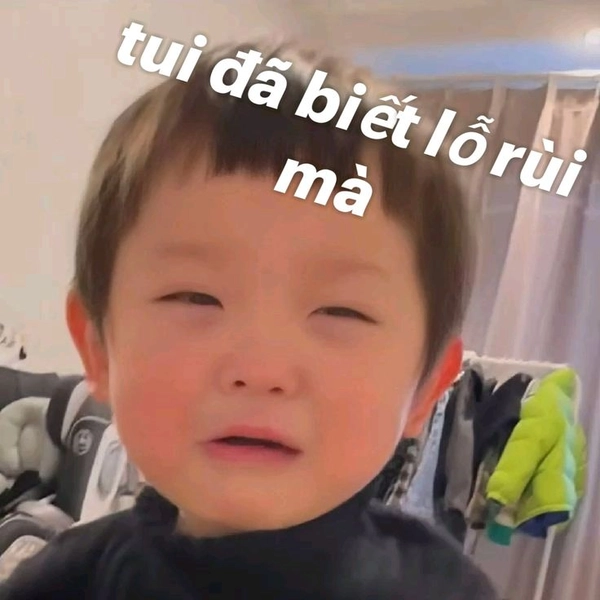 meme quỳ xin lỗi