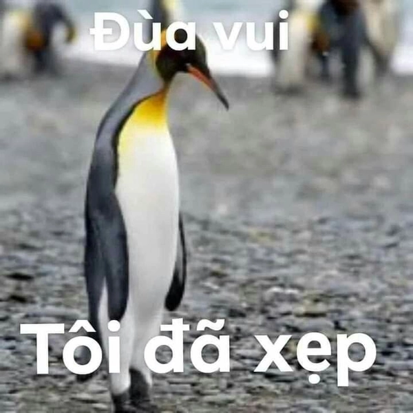 meme sợ hãi các thứ