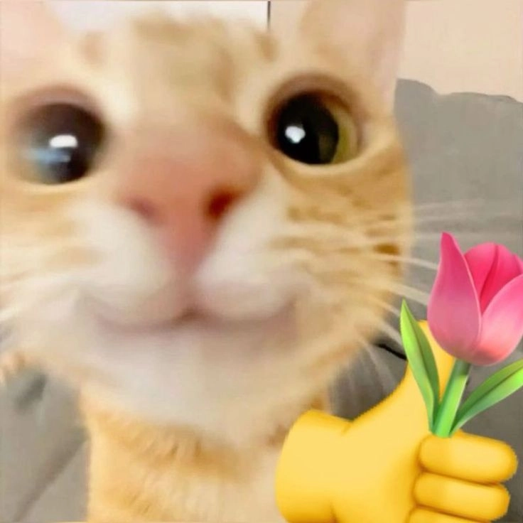 meme tặng hoa cảm ơn
