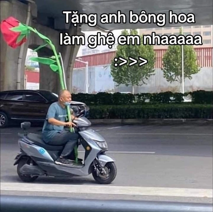 meme tặng hoa cực đẹp