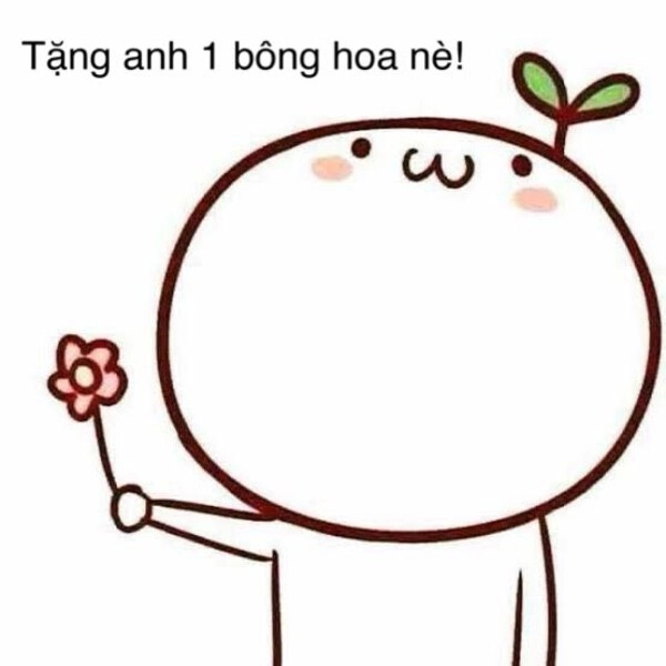 meme tặng hoa cute dễ thương