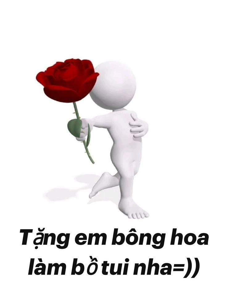 meme tặng hoa đáng yêu