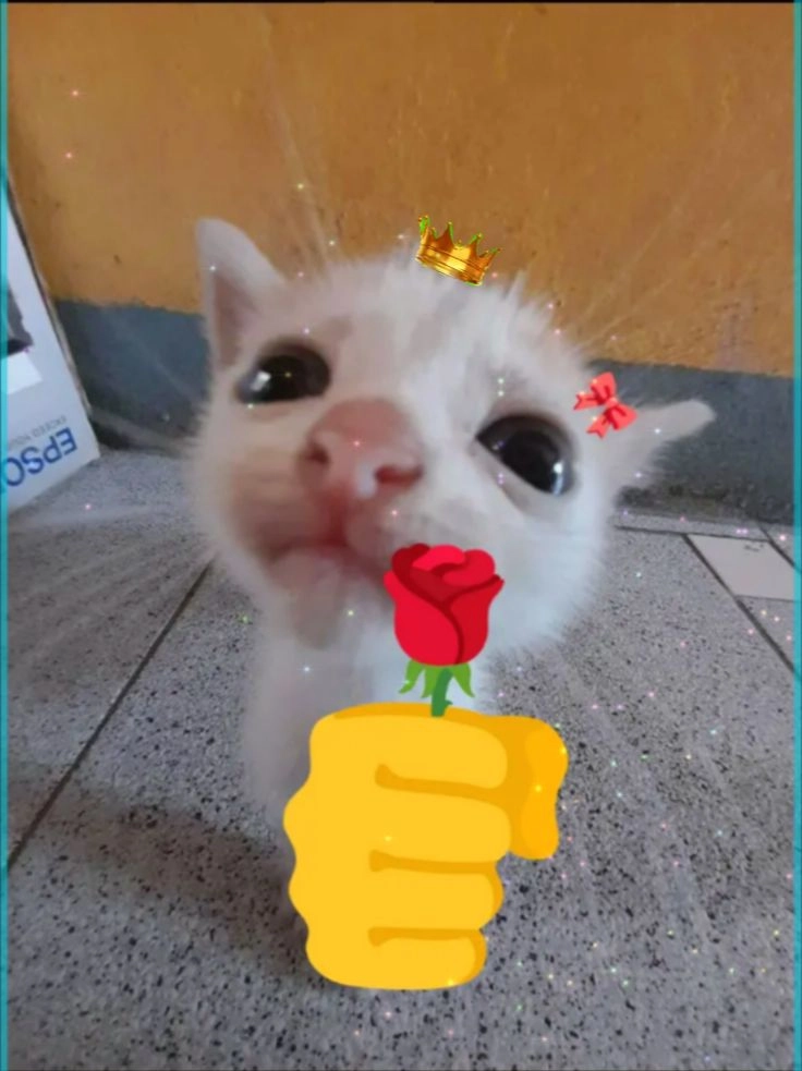 meme tặng hoa hạnh phúc