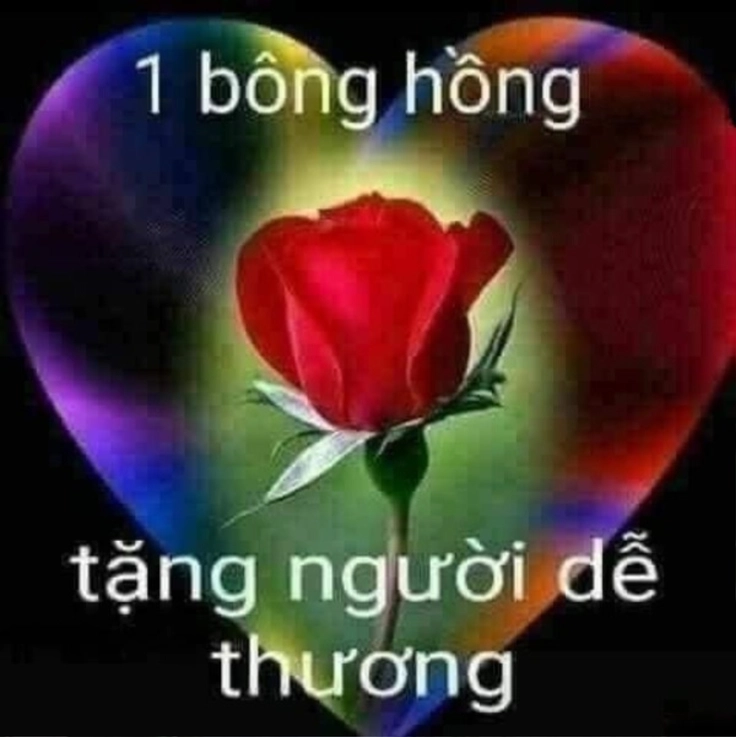 meme tặng hoa lãng mạn