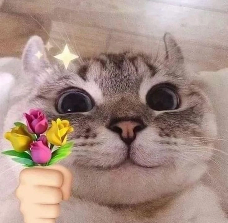 meme tặng hoa