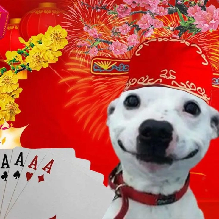 meme tết