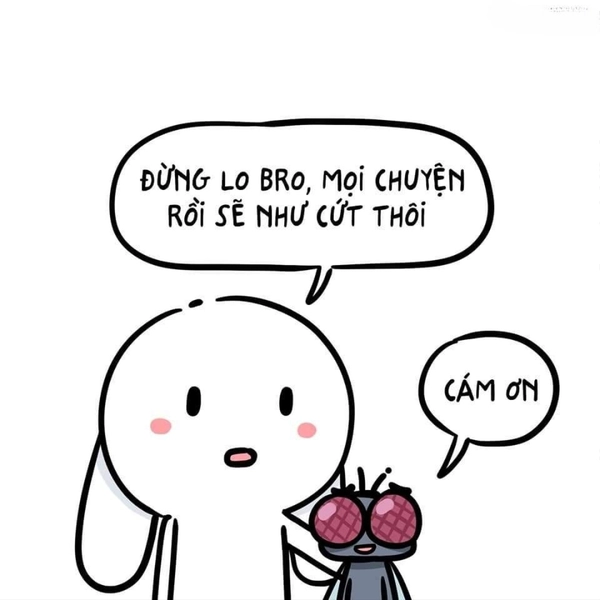 meme thỏ bảy màu cool