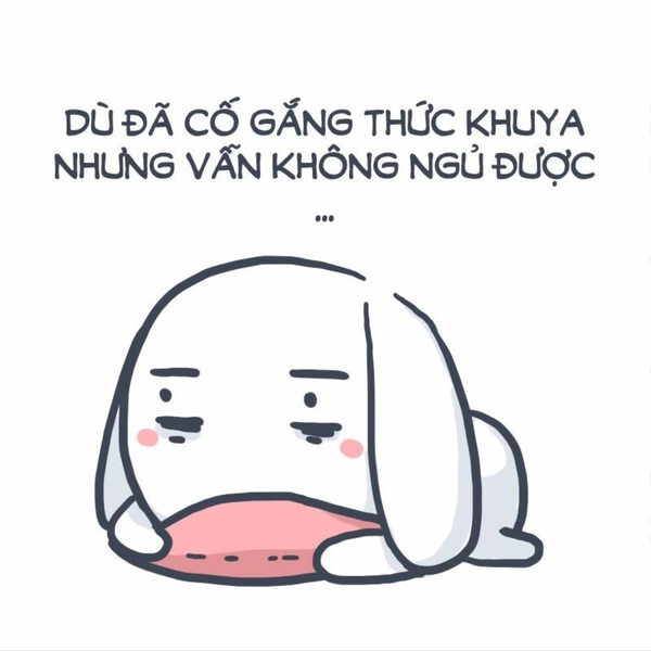meme thỏ bảy màu hoạt hình