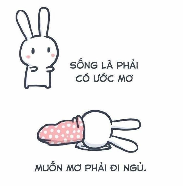 meme thỏ bảy màu khó đỡ