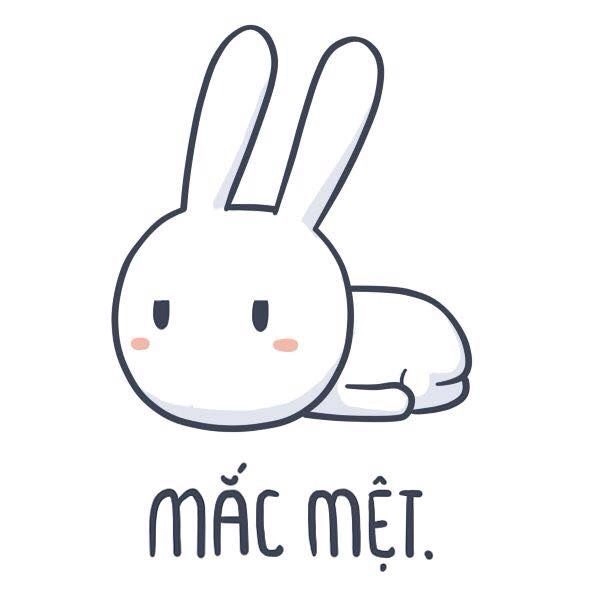 meme thỏ bảy màu phản ứng