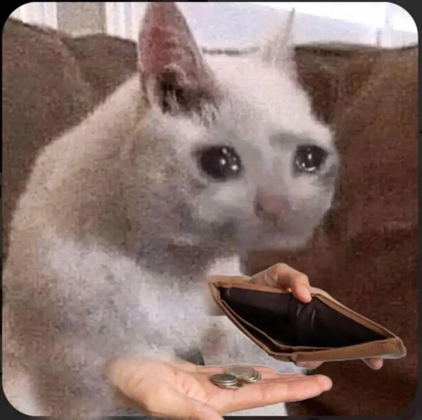 meme tiền đâu