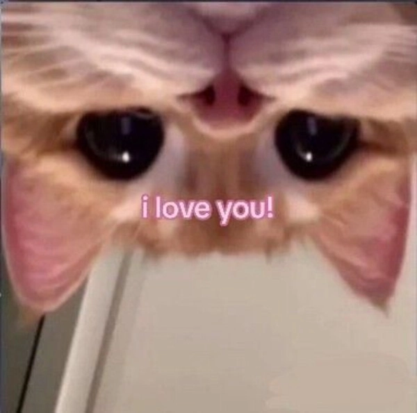 meme tình yêu vui nhộn đáng yêu