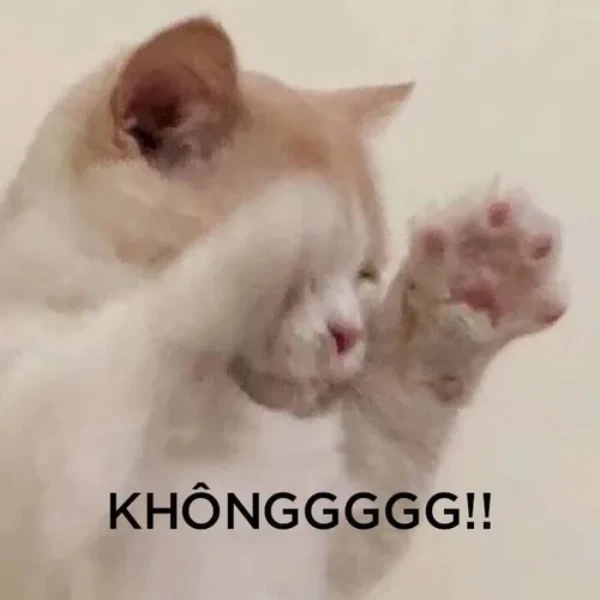 meme từ chối làm việc