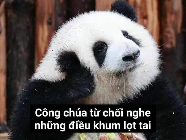 meme từ chối sự thật