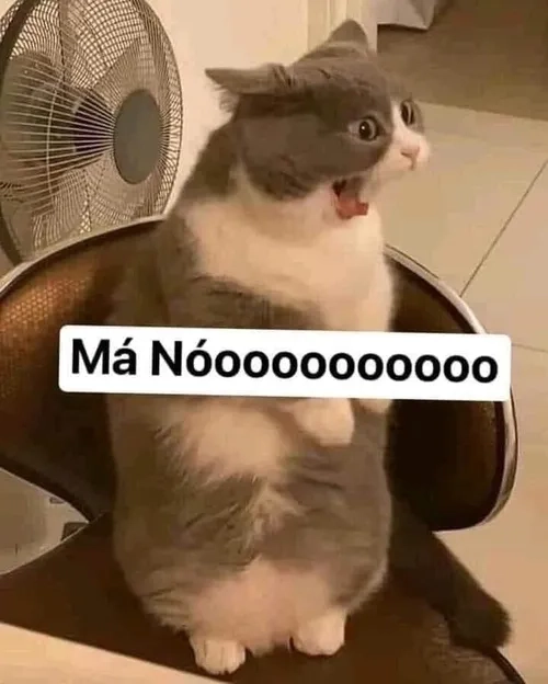meme từ chối tham gia